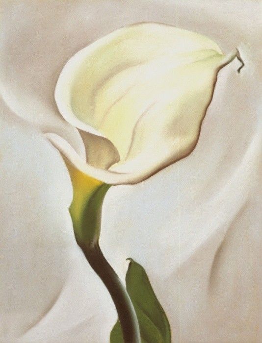 O'Keeffe Calla Lily Turned Away 1923 Painting
